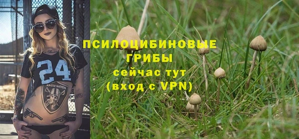гашик Киреевск