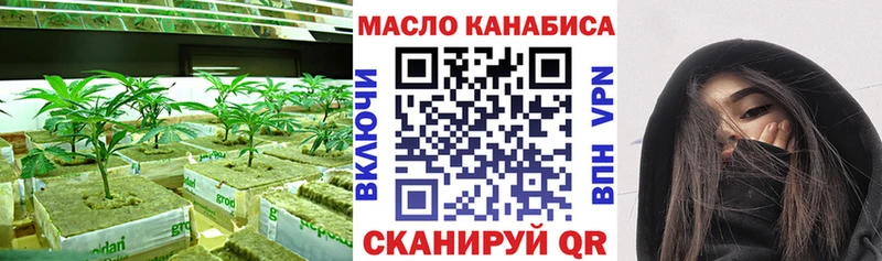 Купить где  Горно-Алтайск  Дистиллят ТГК Wax 
